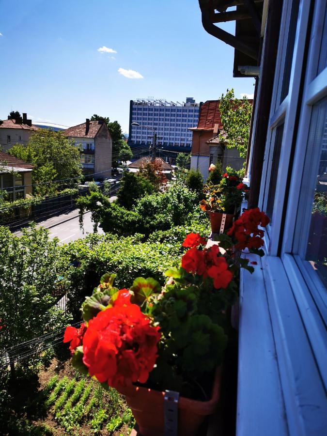 Apartament Hunter Lägenhet Cluj-Napoca Exteriör bild