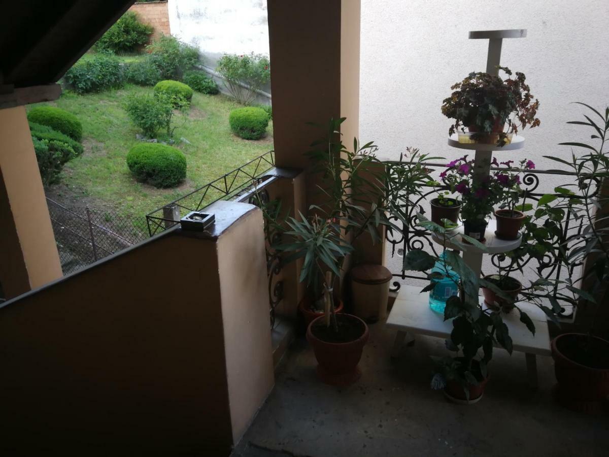 Apartament Hunter Lägenhet Cluj-Napoca Exteriör bild