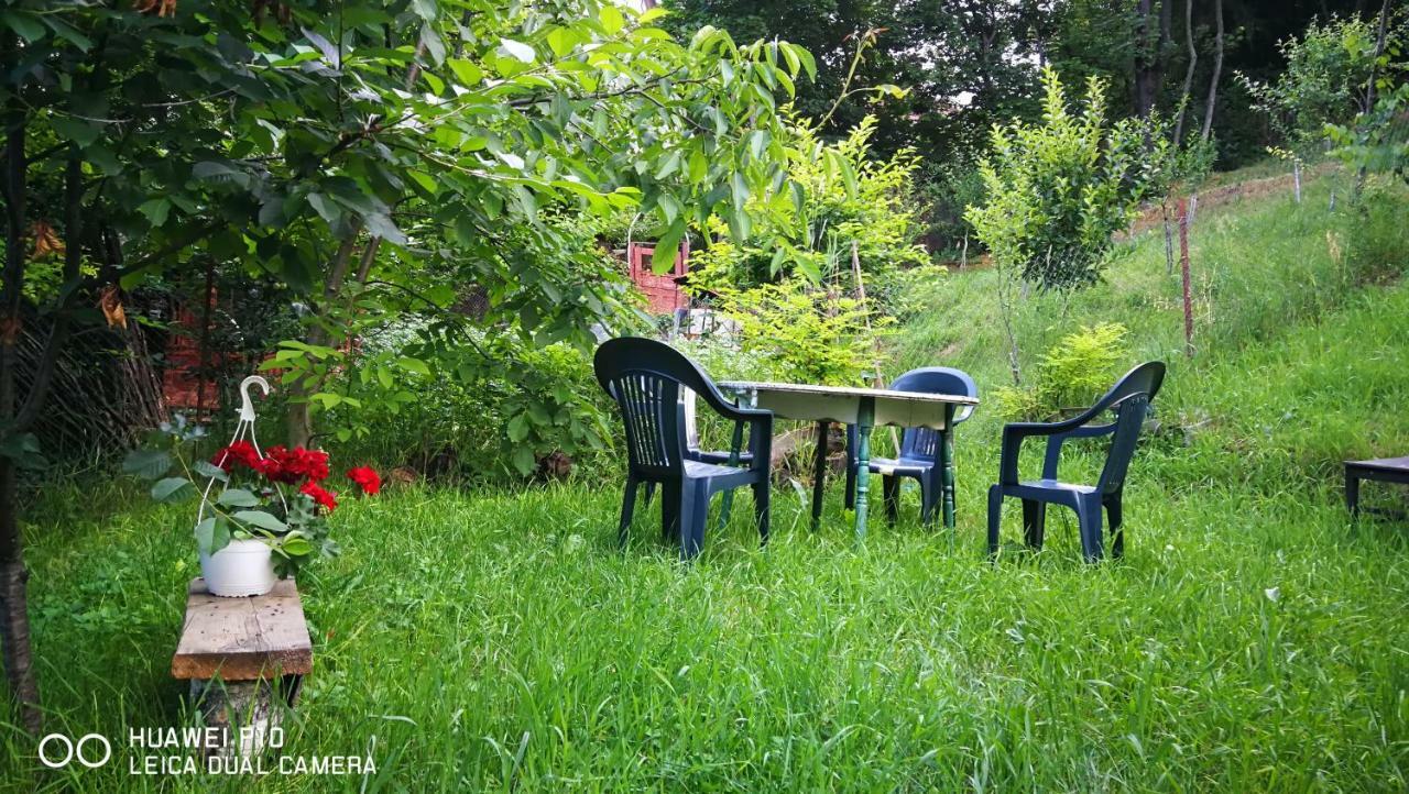 Apartament Hunter Lägenhet Cluj-Napoca Exteriör bild