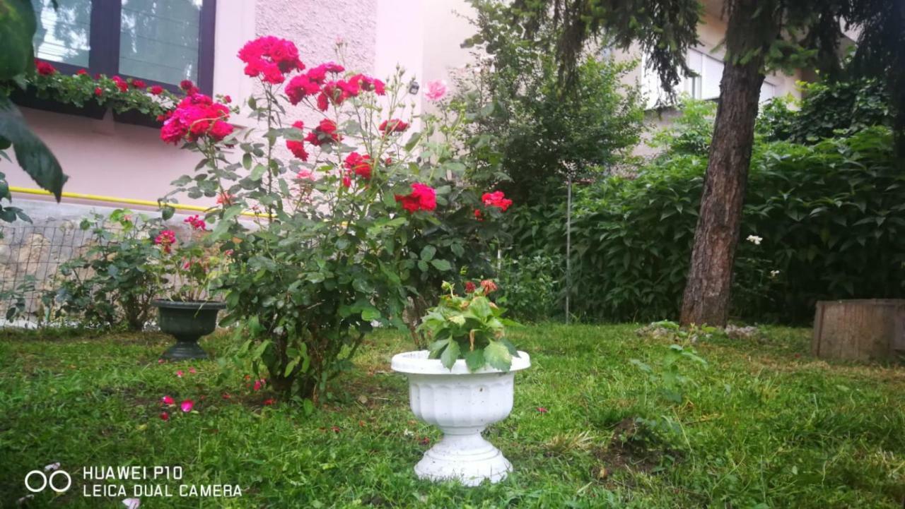 Apartament Hunter Lägenhet Cluj-Napoca Exteriör bild