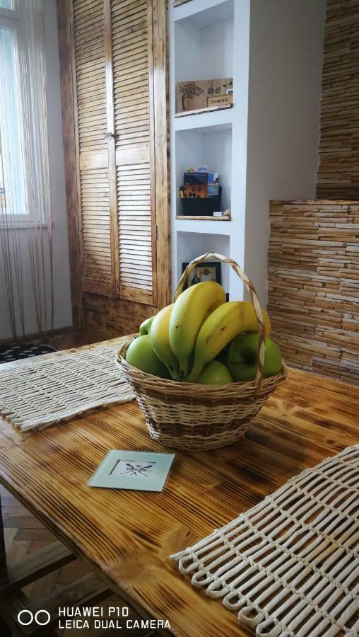 Apartament Hunter Lägenhet Cluj-Napoca Exteriör bild
