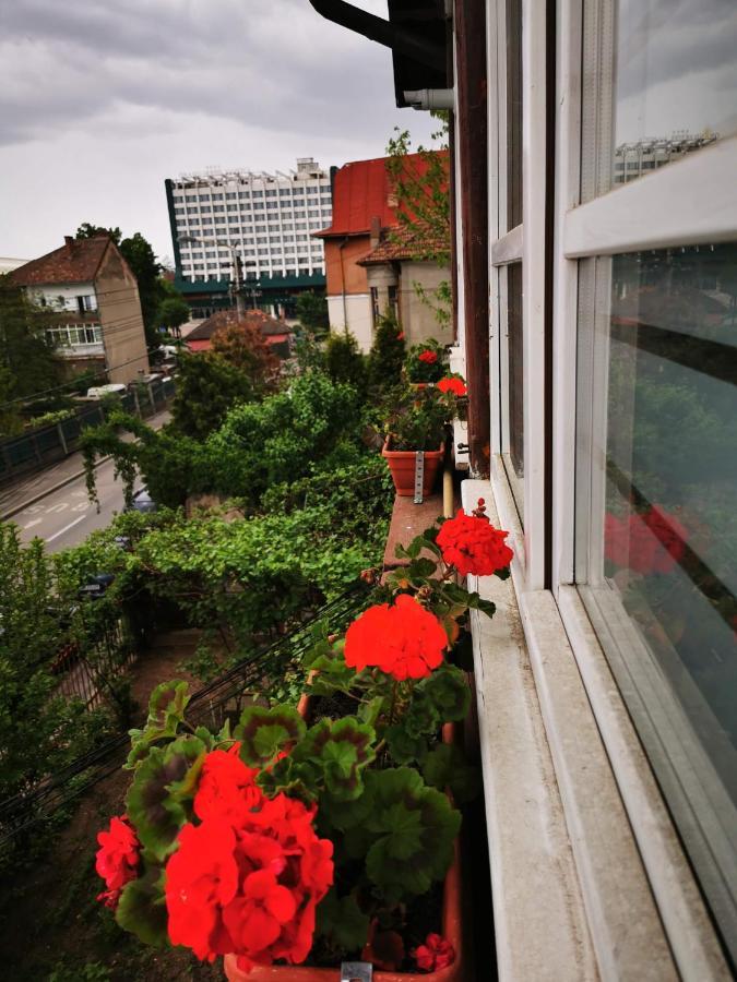 Apartament Hunter Lägenhet Cluj-Napoca Exteriör bild
