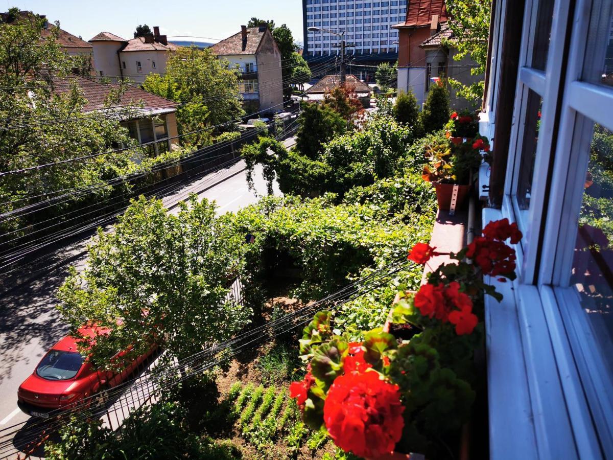 Apartament Hunter Lägenhet Cluj-Napoca Exteriör bild